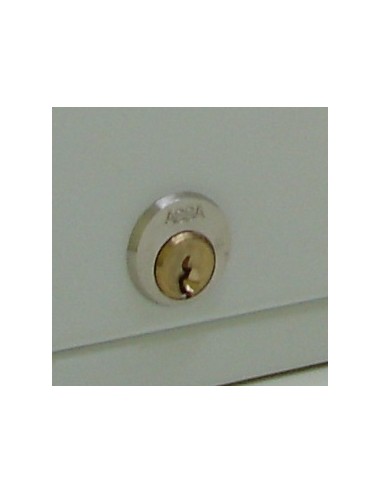 Cylindre avec 2 clés fournies pour Keybox ancienne génération